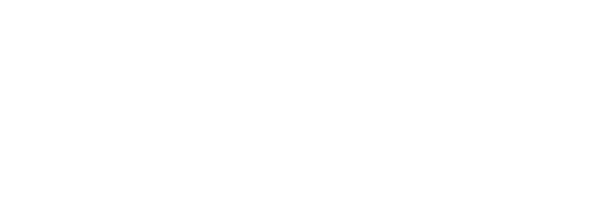 Diginauten